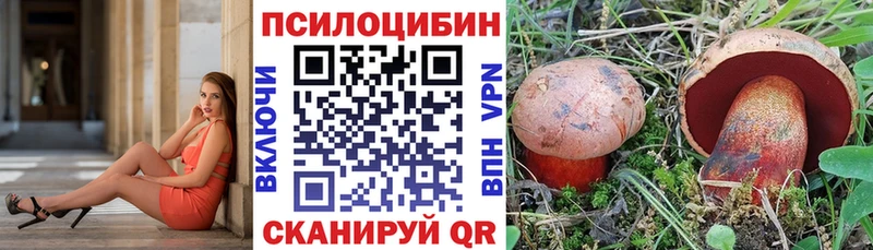 мориарти Telegram  купить закладку  Хилок  Галлюциногенные грибы Psilocybe 